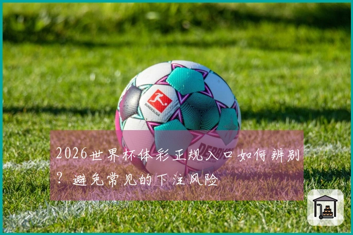 2026世界杯体彩正规入口如何辨别？避免常见的下注风险