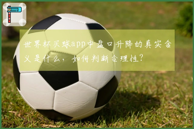 世界杯买球app中盘口升降的真实含义是什么，如何判断合理性？