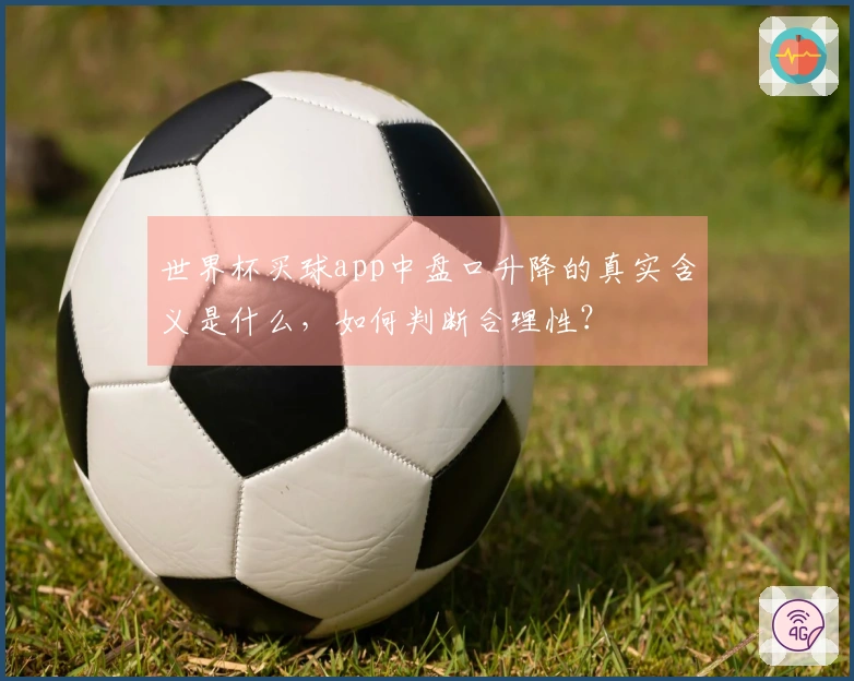 世界杯买球app中盘口升降的真实含义是什么，如何判断合理性？